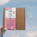 Two of a Kind DIY Art Box