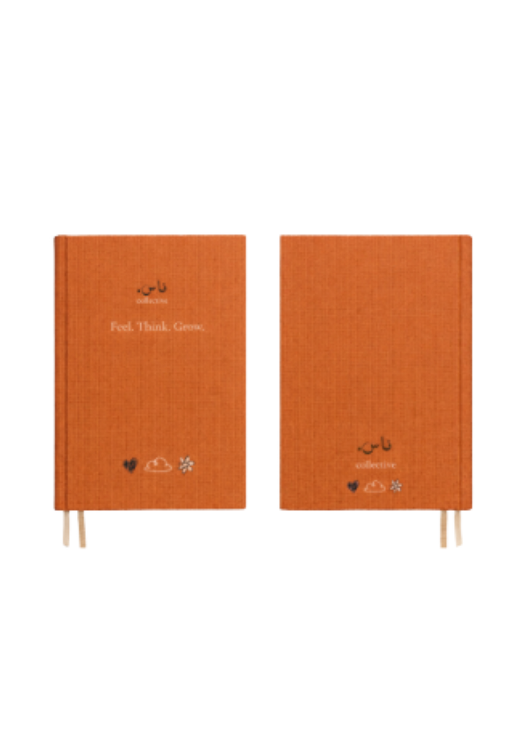 NAS Journal | The Art of Noticing