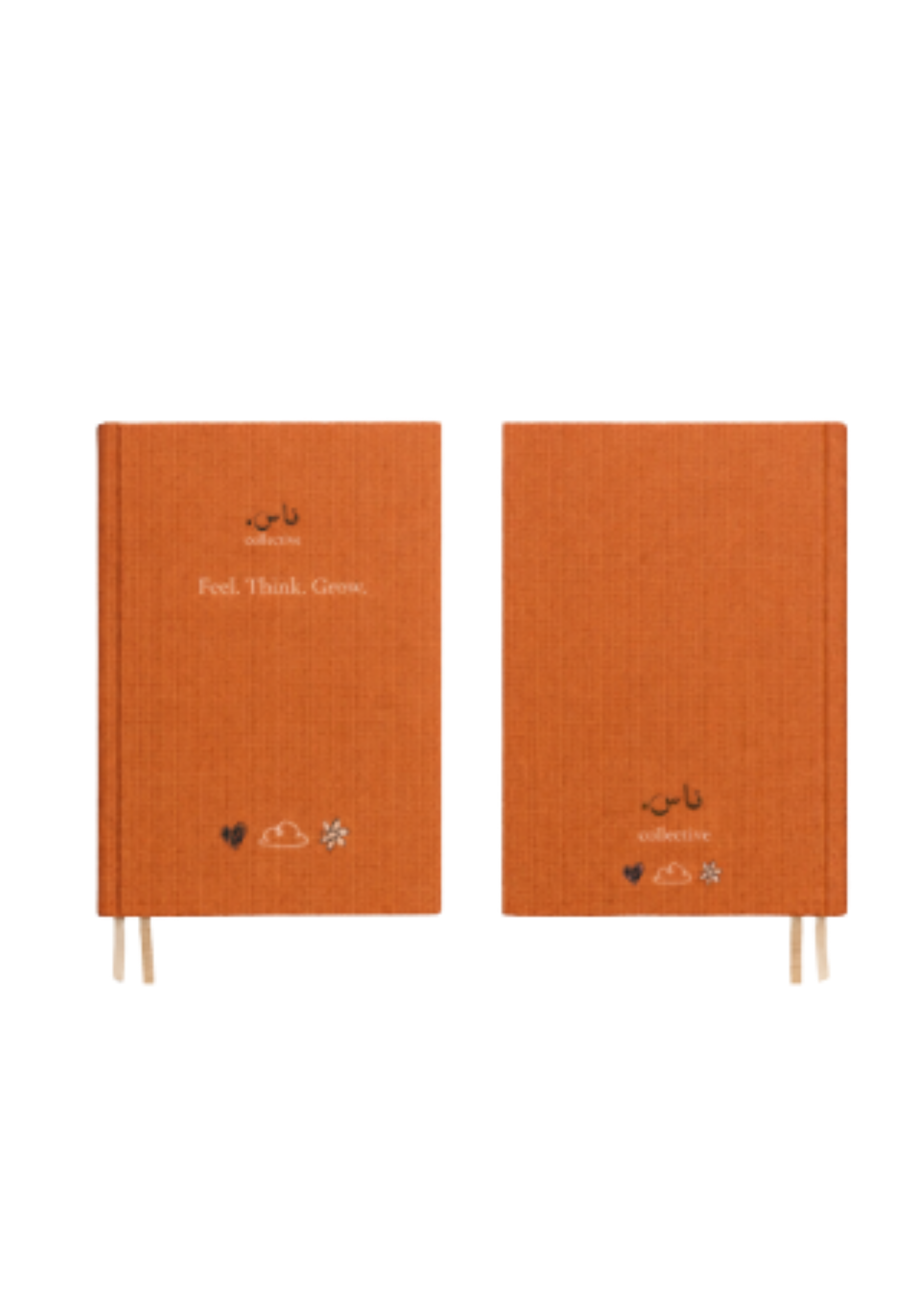 NAS Journal | The Art of Noticing