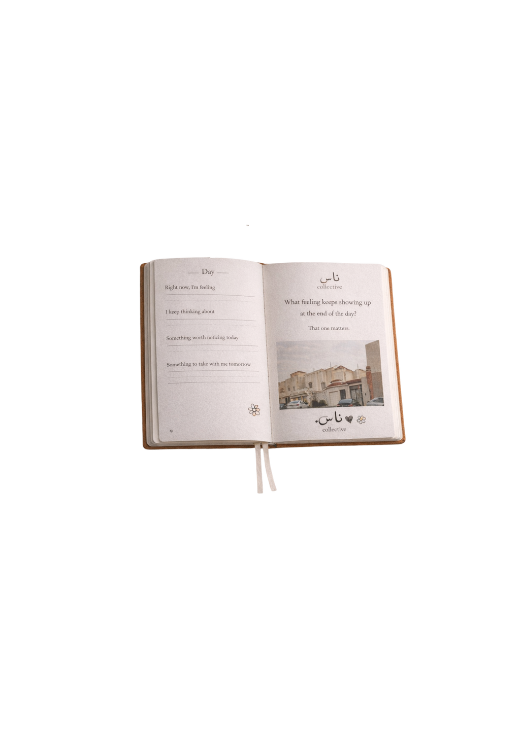 NAS Journal | The Art of Noticing