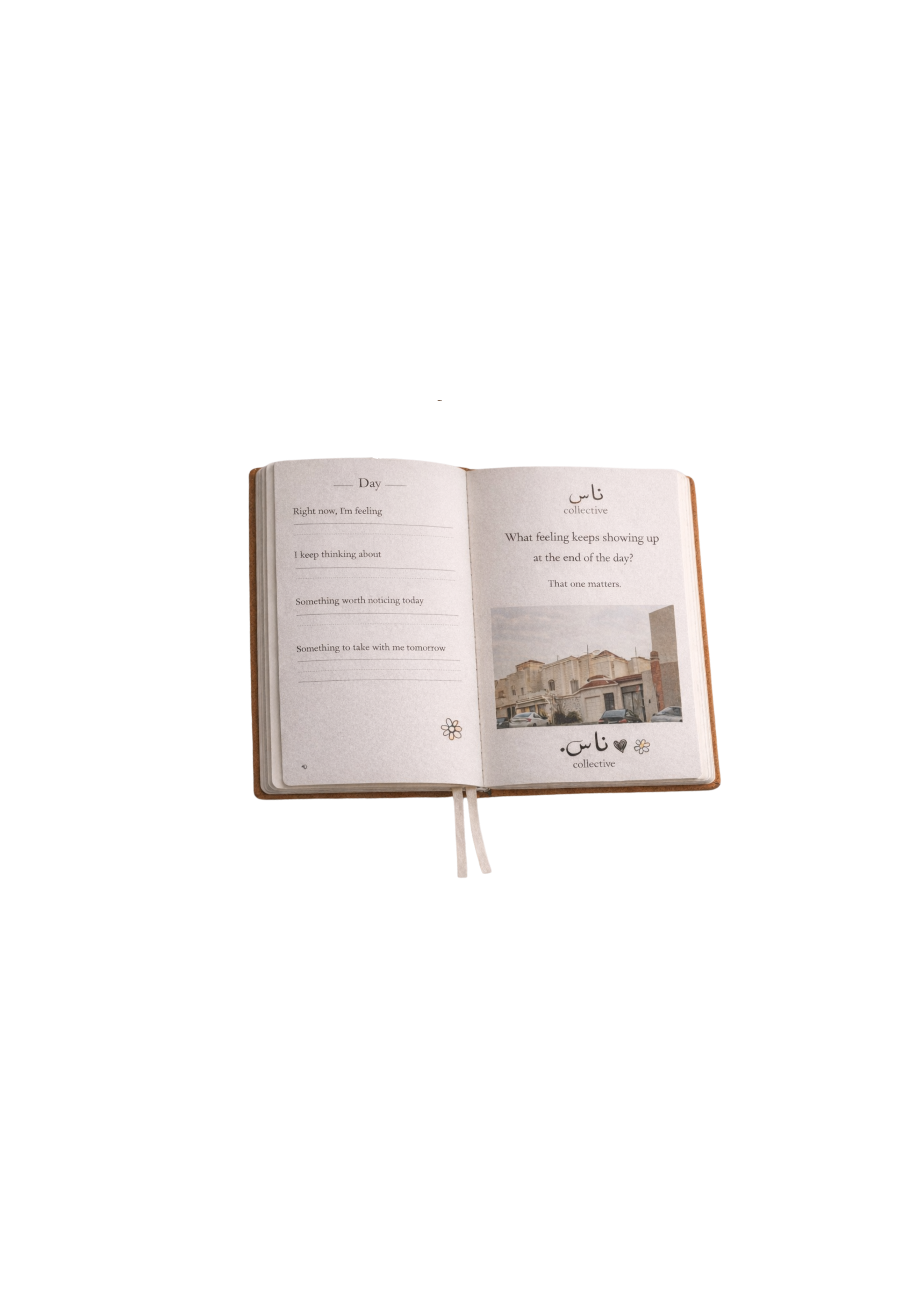 NAS Journal | The Art of Noticing