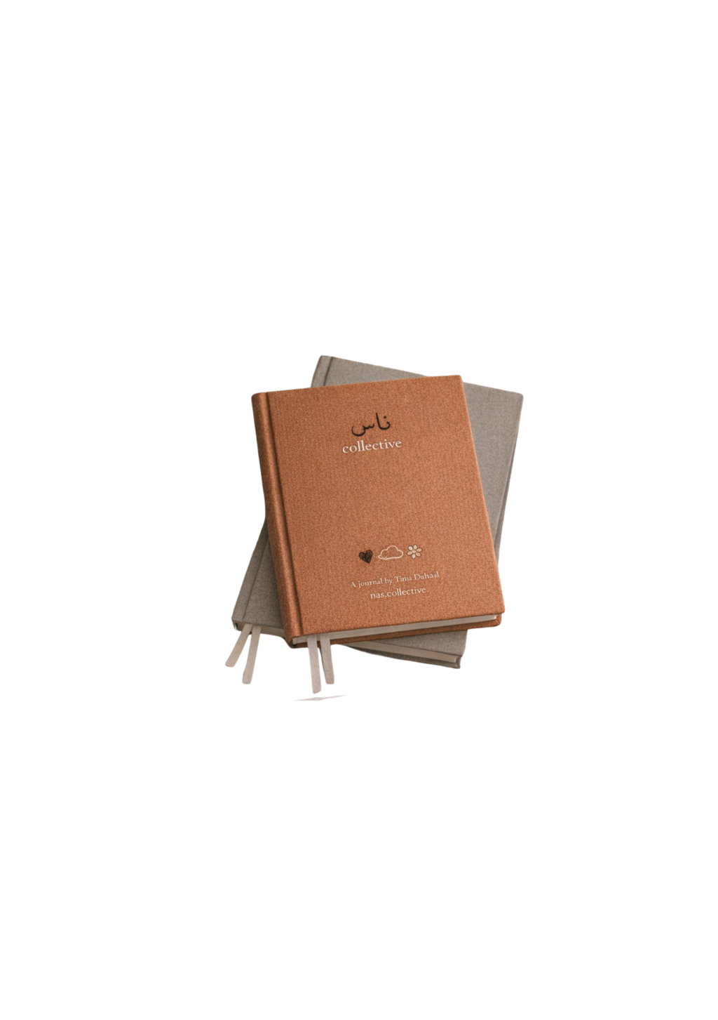 NAS Journal | The Art of Noticing