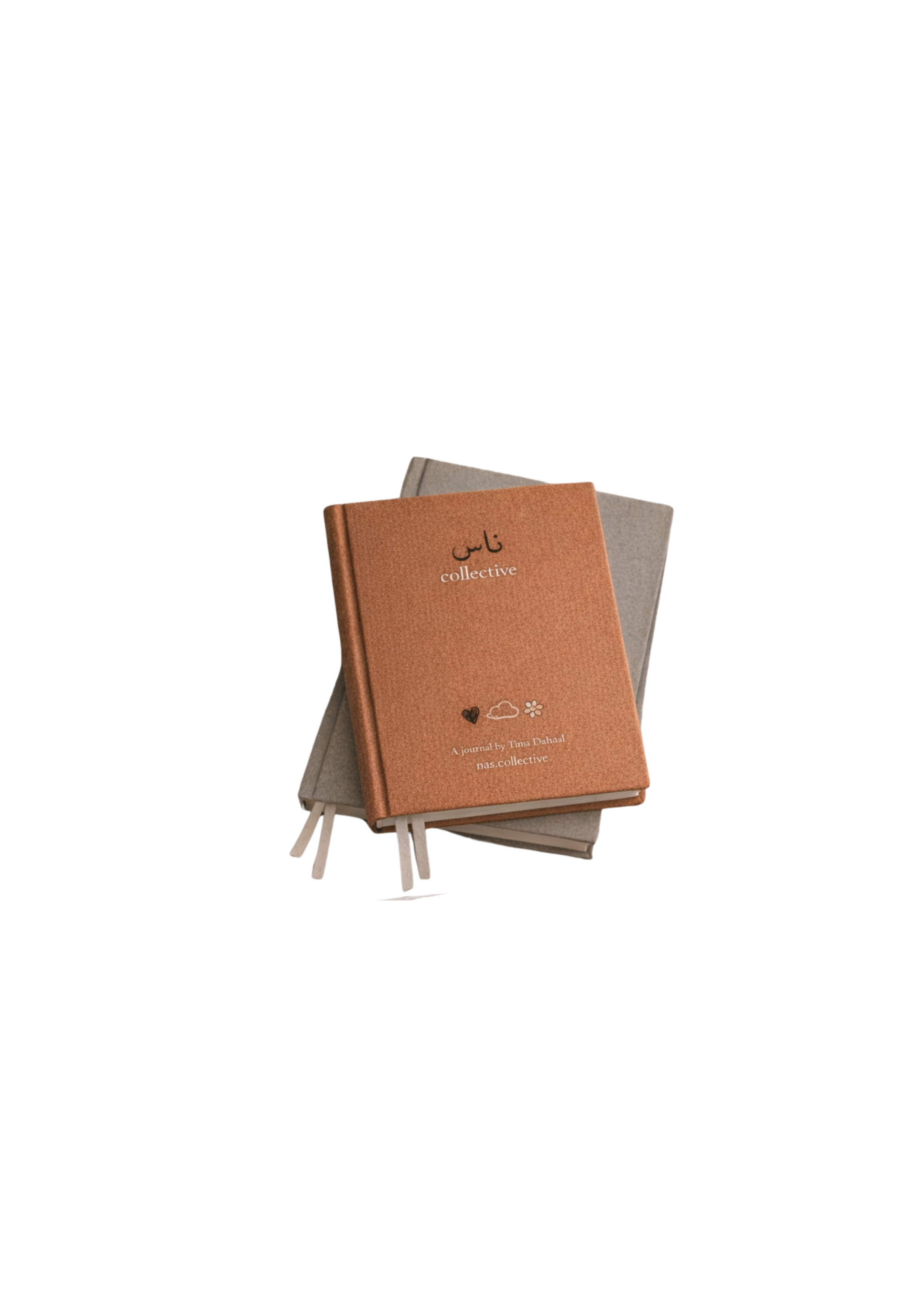 NAS Journal | The Art of Noticing